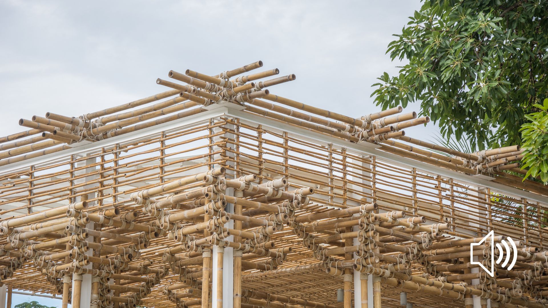 Bamboo as a Sustainable Building Material