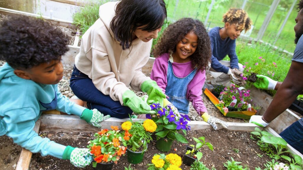 Greenhouse as a Space for Education